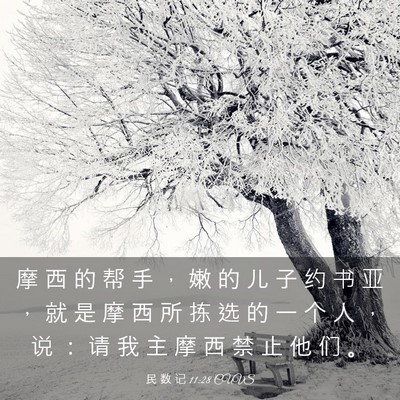 Picture 03 - 民 数 记 11:28 CUVS - 摩 西 的 帮 手 ， 嫩 的 儿 子 约 书 - Bible Verse Picture