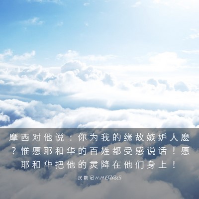 Picture 03 - 民 数 记 11:29 CUVS - 摩 西 对 他 说 ： 你 为 我 的 缘 故 - Bible Verse Picture