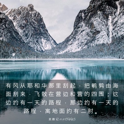 Picture 03 - 民 数 记 11:31 CUVS - 有 风 从 耶 和 华 那 里 刮 起 ， 把 - Bible Verse Picture