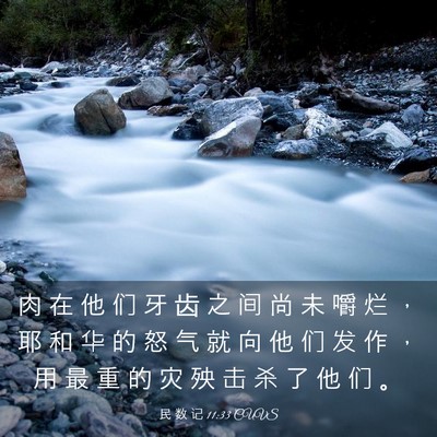 Picture 03 - 民 数 记 11:33 CUVS - 肉 在 他 们 牙 齿 之 间 尚 未 嚼 烂 - Bible Verse Picture