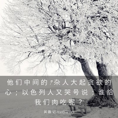 Picture 03 - 民 数 记 11:4 CUVS - 他 们 中 间 的 ? 杂 人 大 起 贪 欲 的 - Bible Verse Picture