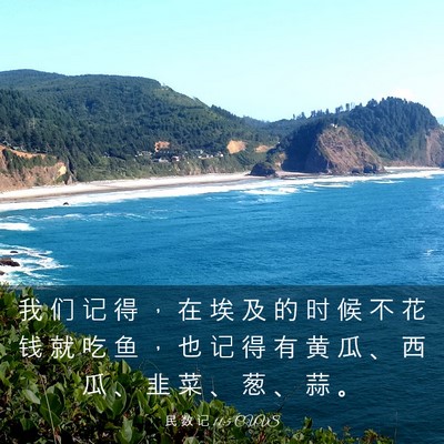 Picture 03 - 民 数 记 11:5 CUVS - 我 们 记 得 ， 在 埃 及 的 时 候 不 - Bible Verse Picture