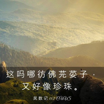 Picture 03 - 民 数 记 11:7 CUVS - 这 吗 哪 彷 佛 芫 荽 子 ， 又 好 像 - Bible Verse Picture
