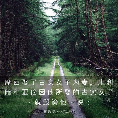 Picture 03 - 民 数 记 12:1 CUVS - 摩 西 娶 了 古 实 女 子 为 妻 。 米 - Bible Verse Picture