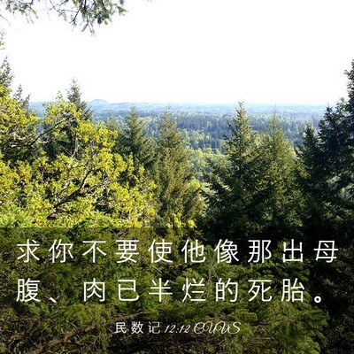 Picture 03 - 民 数 记 12:12 CUVS - 求 你 不 要 使 他 像 那 出 母 腹 、 - Bible Verse Picture