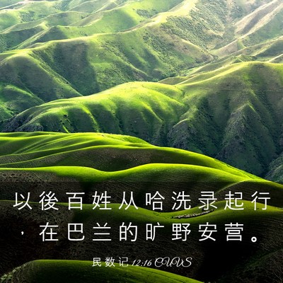 Picture 03 - 民 数 记 12:16 CUVS - 以 後 百 姓 从 哈 洗 录 起 行 ， 在 - Bible Verse Picture