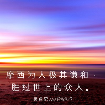 Picture 03 - 民 数 记 12:3 CUVS - 摩 西 为 人 极 其 谦 和 ， 胜 过 世 - Bible Verse Picture