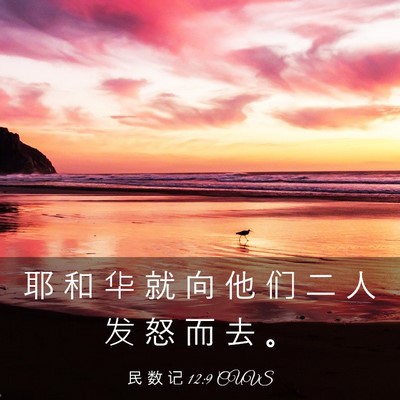 Picture 03 - 民 数 记 12:9 CUVS - 耶 和 华 就 向 他 们 二 人 发 怒 而 - Bible Verse Picture