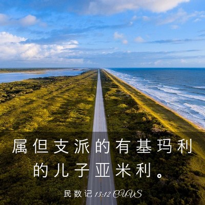 Picture 03 - 民 数 记 13:12 CUVS - 属 但 支 派 的 有 基 玛 利 的 儿 子 - Bible Verse Picture