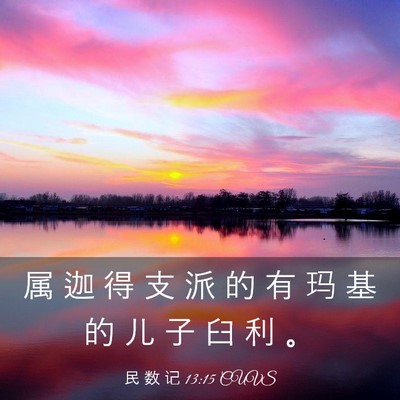 Picture 03 - 民 数 记 13:15 CUVS - 属 迦 得 支 派 的 有 玛 基 的 儿 子 - Bible Verse Picture
