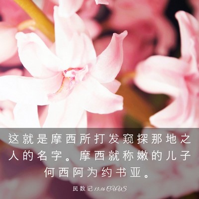 Picture 03 - 民 数 记 13:16 CUVS - 这 就 是 摩 西 所 打 发 窥 探 那 地 - Bible Verse Picture