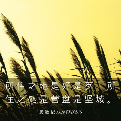 Picture 03 - 民 数 记 13:19 CUVS - 所 住 之 地 是 好 是 歹 ， 所 住 之 - Bible Verse Picture