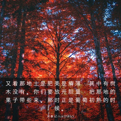 Picture 03 - 民 数 记 13:20 CUVS - 又 看 那 地 土 是 肥 美 是 瘠 薄 ， - Bible Verse Picture