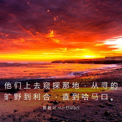 Picture 03 - 民 数 记 13:21 CUVS - 他 们 上 去 窥 探 那 地 ， 从 寻 的 - Bible Verse Picture