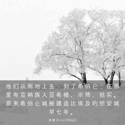 Picture 03 - 民 数 记 13:22 CUVS - 他 们 从 南 地 上 去 ， 到 了 希 伯 - Bible Verse Picture