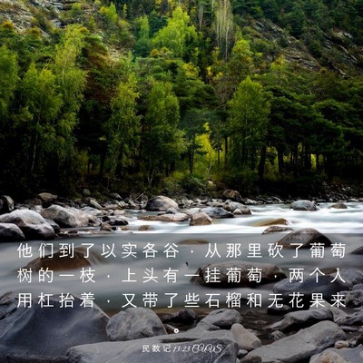 Picture 03 - 民 数 记 13:23 CUVS - 他 们 到 了 以 实 各 谷 ， 从 那 里 - Bible Verse Picture
