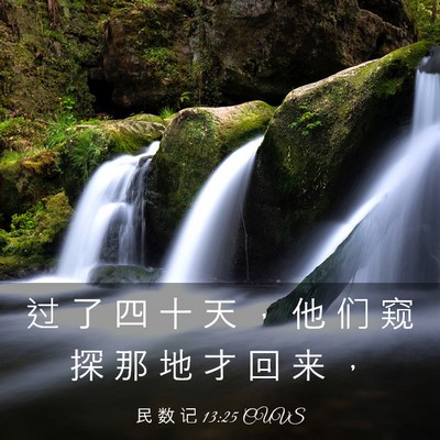 Picture 03 - 民 数 记 13:25 CUVS - 过 了 四 十 天 ， 他 们 窥 探 那 地 - Bible Verse Picture