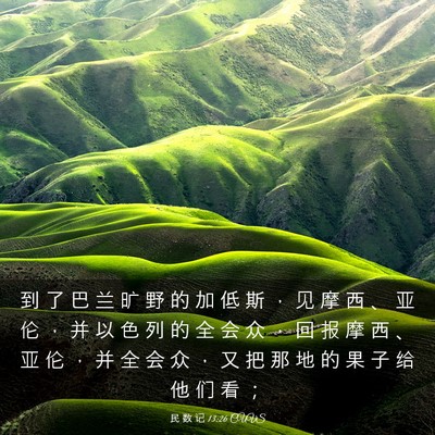 Picture 03 - 民 数 记 13:26 CUVS - 到 了 巴 兰 旷 野 的 加 低 斯 ， 见 - Bible Verse Picture