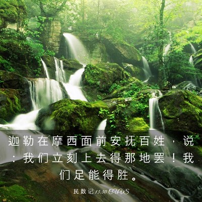 Picture 03 - 民 数 记 13:30 CUVS - 迦 勒 在 摩 西 面 前 安 抚 百 姓 ， - Bible Verse Picture