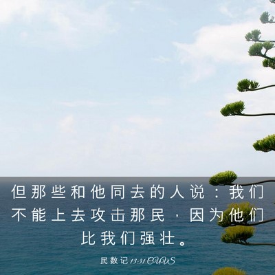 Picture 03 - 民 数 记 13:31 CUVS - 但 那 些 和 他 同 去 的 人 说 ： 我 - Bible Verse Picture