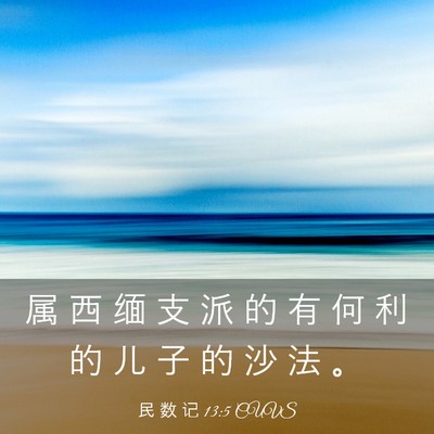 Picture 03 - 民 数 记 13:5 CUVS - 属 西 缅 支 派 的 有 何 利 的 儿 子 - Bible Verse Picture
