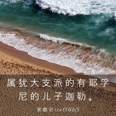 Picture 03 - 民 数 记 13:6 CUVS - 属 犹 大 支 派 的 有 耶 孚 尼 的 儿 - Bible Verse Picture