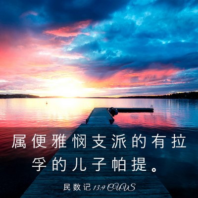 Picture 03 - 民 数 记 13:9 CUVS - 属 便 雅 悯 支 派 的 有 拉 孚 的 儿 - Bible Verse Picture