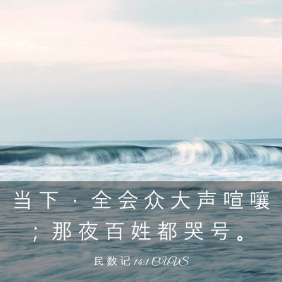 Picture 03 - 民 数 记 14:1 CUVS - 当 下 ， 全 会 众 大 声 喧 嚷 ； 那 - Bible Verse Picture