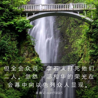 Picture 03 - 民 数 记 14:10 CUVS - 但 全 会 众 说 ： 拿 石 头 打 死 他 - Bible Verse Picture