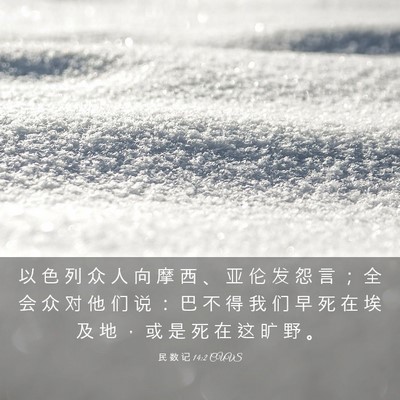Picture 03 - 民 数 记 14:2 CUVS - 以 色 列 众 人 向 摩 西 、 亚 伦 发 - Bible Verse Picture
