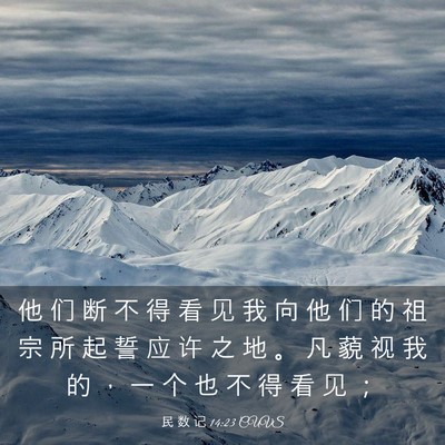 Picture 03 - 民 数 记 14:23 CUVS - 他 们 断 不 得 看 见 我 向 他 们 的 - Bible Verse Picture