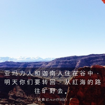 Picture 03 - 民 数 记 14:25 CUVS - 亚 玛 力 人 和 迦 南 人 住 在 谷 中 - Bible Verse Picture