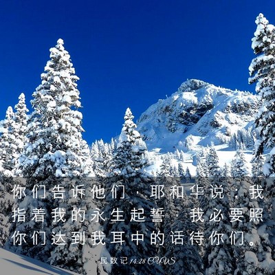 Picture 03 - 民 数 记 14:28 CUVS - 你 们 告 诉 他 们 ， 耶 和 华 说 ： - Bible Verse Picture