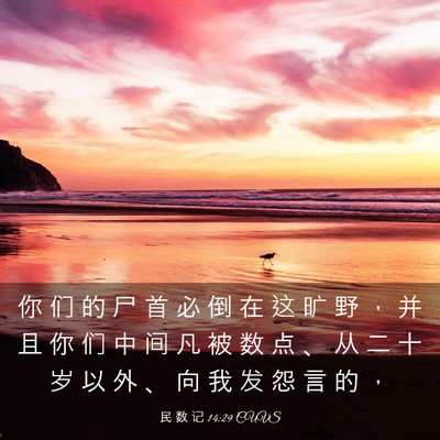 Picture 03 - 民 数 记 14:29 CUVS - 你 们 的 尸 首 必 倒 在 这 旷 野 ， - Bible Verse Picture