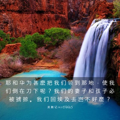 Picture 03 - 民 数 记 14:3 CUVS - 耶 和 华 为 甚 麽 把 我 们 领 到 那 - Bible Verse Picture