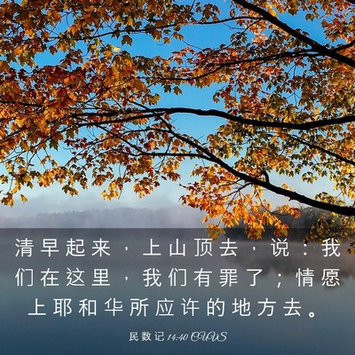 Picture 03 - 民 数 记 14:40 CUVS - 清 早 起 来 ， 上 山 顶 去 ， 说 ： - Bible Verse Picture