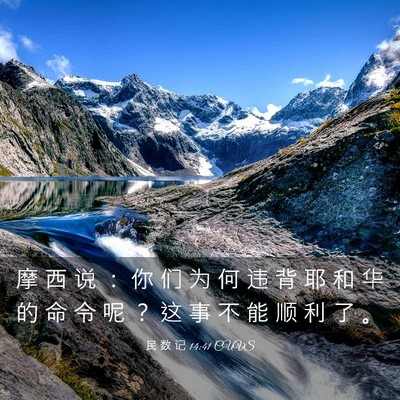 Picture 03 - 民 数 记 14:41 CUVS - 摩 西 说 ： 你 们 为 何 违 背 耶 和 - Bible Verse Picture