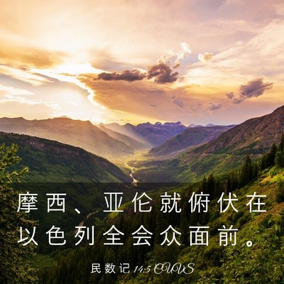 Picture 03 - 民 数 记 14:5 CUVS - 摩 西 、 亚 伦 就 俯 伏 在 以 色 列 - Bible Verse Picture