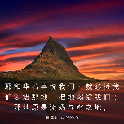 Picture 03 - 民 数 记 14:8 CUVS - 耶 和 华 若 喜 悦 我 们 ， 就 必 将 - Bible Verse Picture