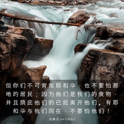 Picture 03 - 民 数 记 14:9 CUVS - 但 你 们 不 可 背 叛 耶 和 华 ， 也 - Bible Verse Picture