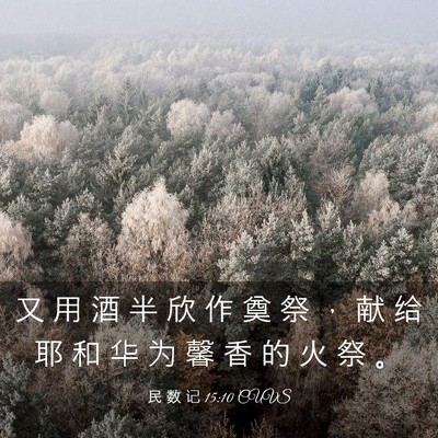 Picture 03 - 民 数 记 15:10 CUVS - 又 用 酒 半 欣 作 奠 祭 ， 献 给 耶 - Bible Verse Picture
