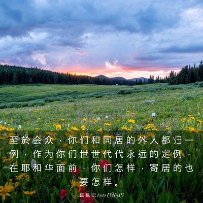 Picture 03 - 民 数 记 15:15 CUVS - 至 於 会 众 ， 你 们 和 同 居 的 外 - Bible Verse Picture
