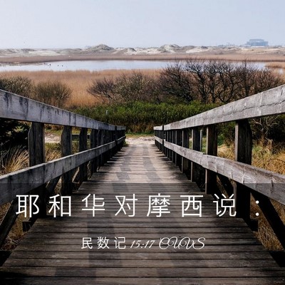 Picture 03 - 民 数 记 15:17 CUVS - 耶 和 华 对 摩 西 说 - Bible Verse Picture