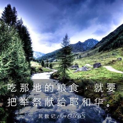 Picture 03 - 民 数 记 15:19 CUVS - 吃 那 地 的 粮 食 ， 就 要 把 举 祭 - Bible Verse Picture