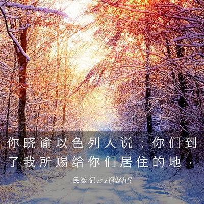 Picture 03 - 民 数 记 15:2 CUVS - 你 晓 谕 以 色 列 人 说 ： 你 们 到 - Bible Verse Picture