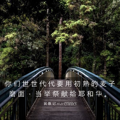Picture 03 - 民 数 记 15:21 CUVS - 你 们 世 世 代 代 要 用 初 熟 的 麦 - Bible Verse Picture