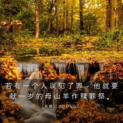 Picture 03 - 民 数 记 15:27 CUVS - 若 有 一 个 人 误 犯 了 罪 ， 他 就 - Bible Verse Picture