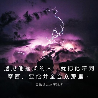 Picture 03 - 民 数 记 15:33 CUVS - 遇 见 他 捡 柴 的 人 ， 就 把 他 带 - Bible Verse Picture
