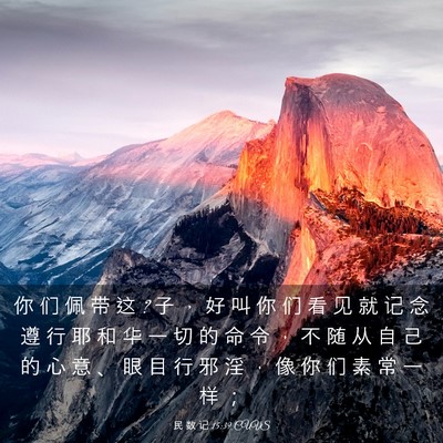 Picture 03 - 民 数 记 15:39 CUVS - 你 们 佩 带 这 ? 子 ， 好 叫 你 们 看 - Bible Verse Picture