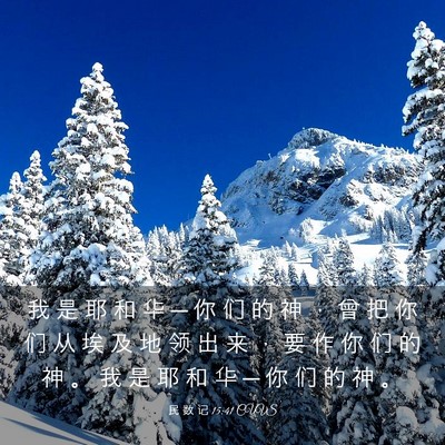 Picture 03 - 民 数 记 15:41 CUVS - 我 是 耶 和 华 ─ 你 们 的 神 ， 曾 - Bible Verse Picture